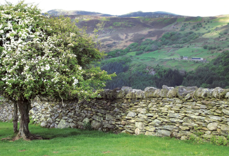 Rural Relics: Milkmaid's Yokes and Root Choppers